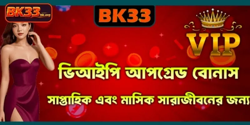 VIP প্রোগ্রাম এর মাধ্যমে আপনার জয় এবং মর্যাদা নিশ্চিত করুন